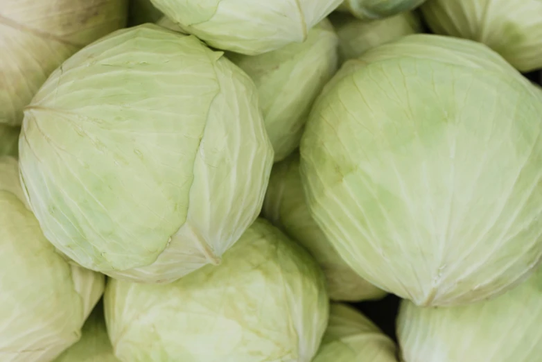 a pile of cabbage sitting on top of each other, pale green glow, listing image, portrait image, highlights