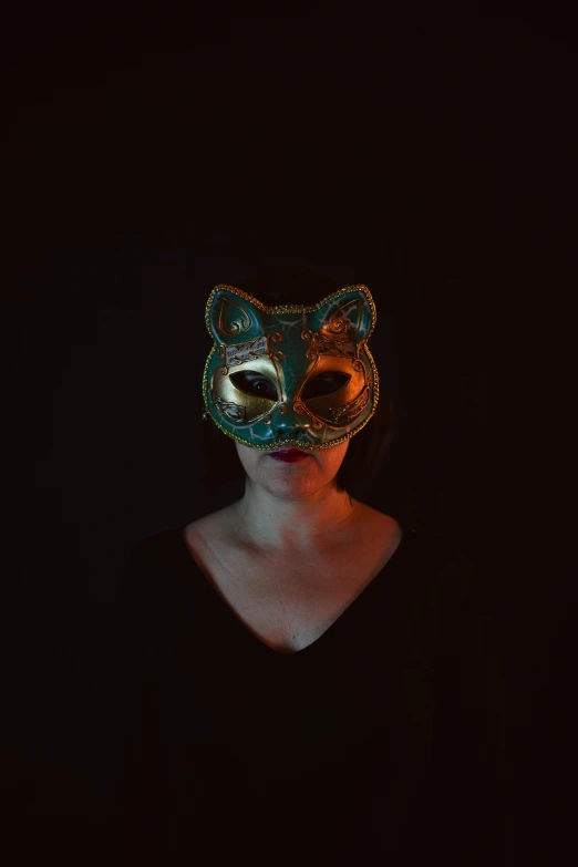 a woman wearing a cat mask in the dark, an album cover, inspired by Elsa Bleda, pexels contest winner, renaissance, monia merlo, instagram picture, profile pic, cardboard