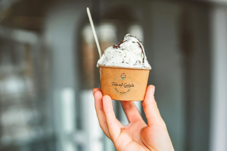 a person holding a cup of ice cream, caulfield, fully chocolate, profile image