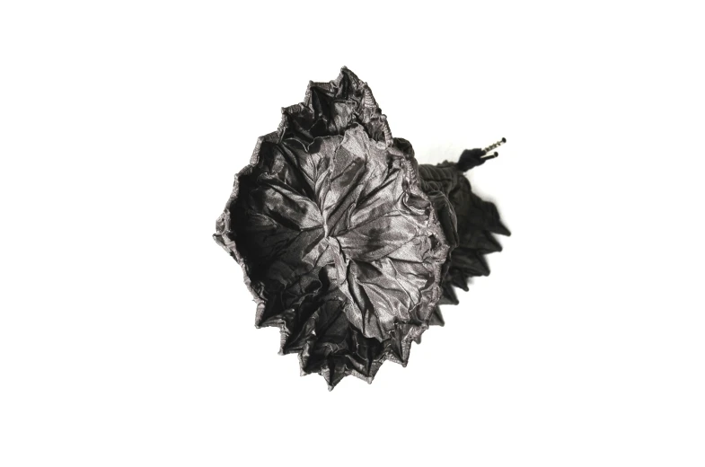 a black and white photo of a leaf, an album cover, by Pierre Laffillé, hurufiyya, ball shaped accordion sleeve, paper crumpled texture, painted black, black color on white background