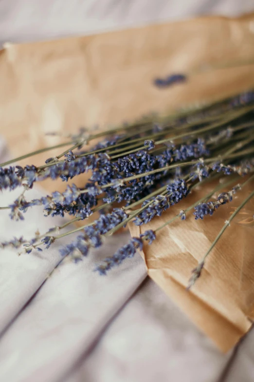 a bunch of flowers sitting on top of a brown paper bag, a picture, unsplash, romanticism, lavender, dried herbs, blue, vintage soft grainy