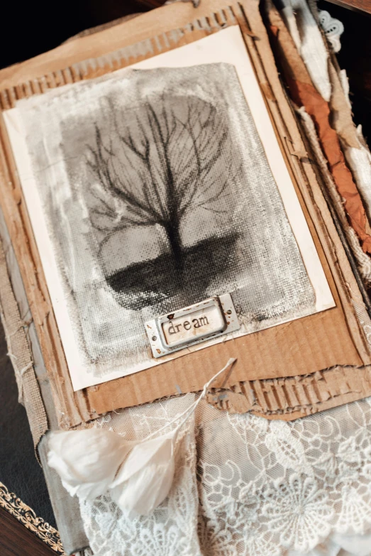 a picture of a tree in a box, inspired by Maud Naftel, unsplash, mail art, medium close up portrait, grungy, a book, grey