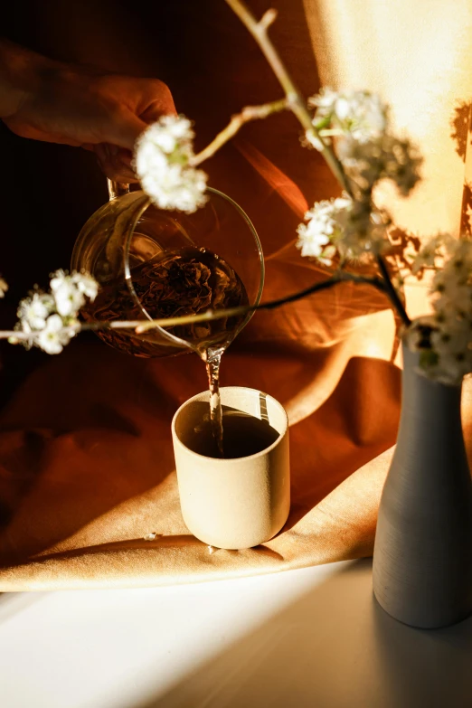 a person pouring a cup of coffee into a vase, a still life, by Jacob Duck, trending on unsplash, ambient amber light, spring evening, porcelain organic, detail shot