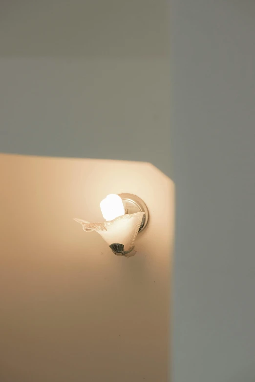 a close up of a light on a wall, inspired by Clarice Beckett, dove in an ear canal, modeled, high - angle view, made of glowing wax and ceramic