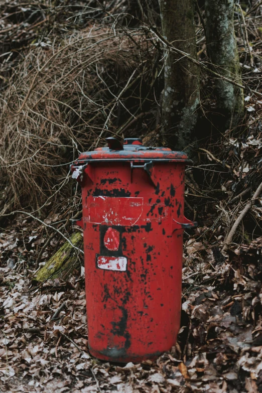 a red fire hydrant sitting next to a tree, by Jesper Knudsen, pexels contest winner, trash can, postage, in forest, faded worn