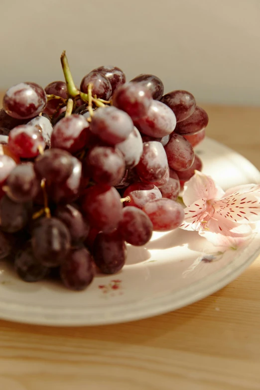 a plate with a bunch of grapes on it, perfect crisp light, blushing, sweaty, vanilla