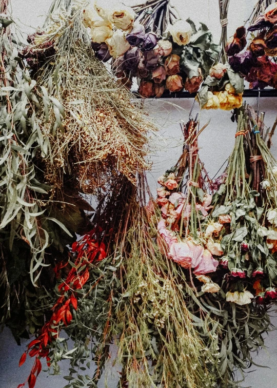 a bunch of dried flowers hanging from a wall, by Miroslava Sviridova, trending on unsplash, renaissance, made of flowers and fruit, flower shop scene, half image