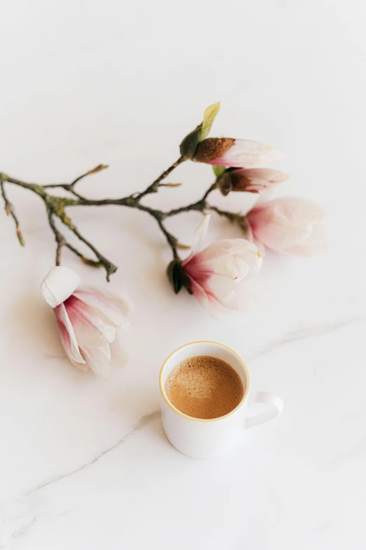 a cup of coffee next to a branch of flowers, magnolia stems, curated collection, uploaded, hot coffee