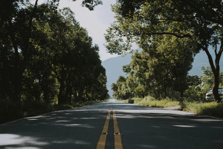 a man riding a skateboard down the middle of a road, a picture, unsplash contest winner, road between tall trees, avatar image, background image