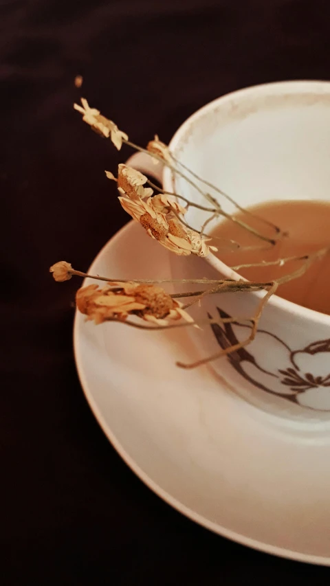 a cup of tea sitting on top of a saucer, a still life, inspired by Méret Oppenheim, pexels, made of dried flowers, dry grass, 15081959 21121991 01012000 4k, detail shot