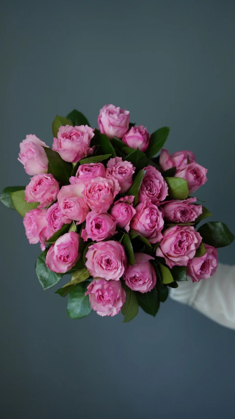 a person holding a bouquet of pink roses, no cropping, peony flowers, vibrant foliage, award winning