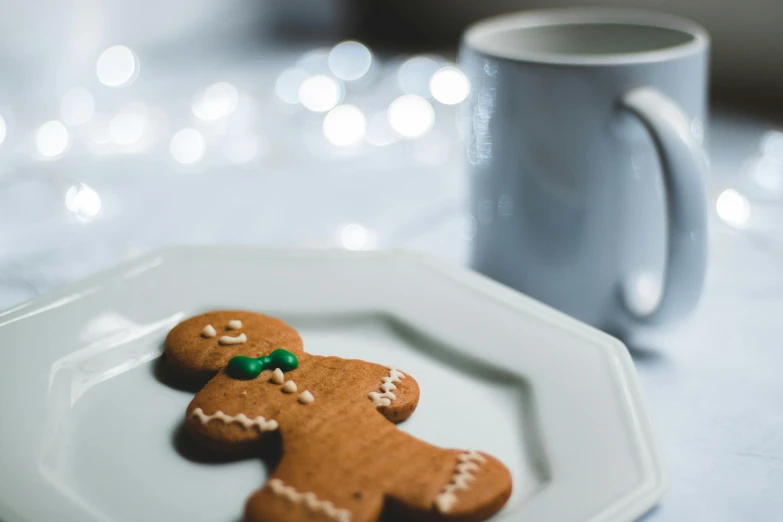 a close up of a plate with a cookie on it, by Emma Andijewska, pexels contest winner, gingerbread people, 15081959 21121991 01012000 4k, hot cocoa drink, thumbnail