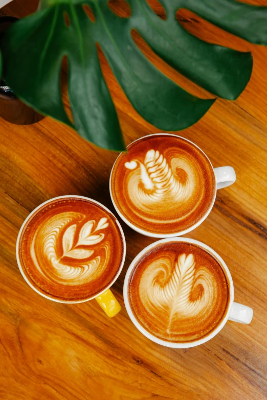 three cups of coffee sitting on top of a wooden table, tropical leaves, latte art, profile image, thumbnail