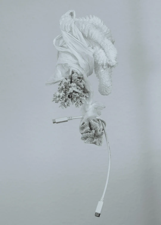 a black and white photo of a flower in a vase, an album cover, unsplash, conceptual art, wrapped in cables and flowers, digital sculpture, suspended in air, pastel'