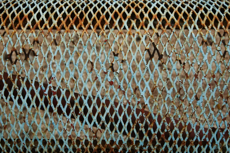 a close up of a rusted piece of metal, an album cover, by Bradley Walker Tomlin, pixabay, fishnet, thick blue lines, repeating pattern, lizard skin