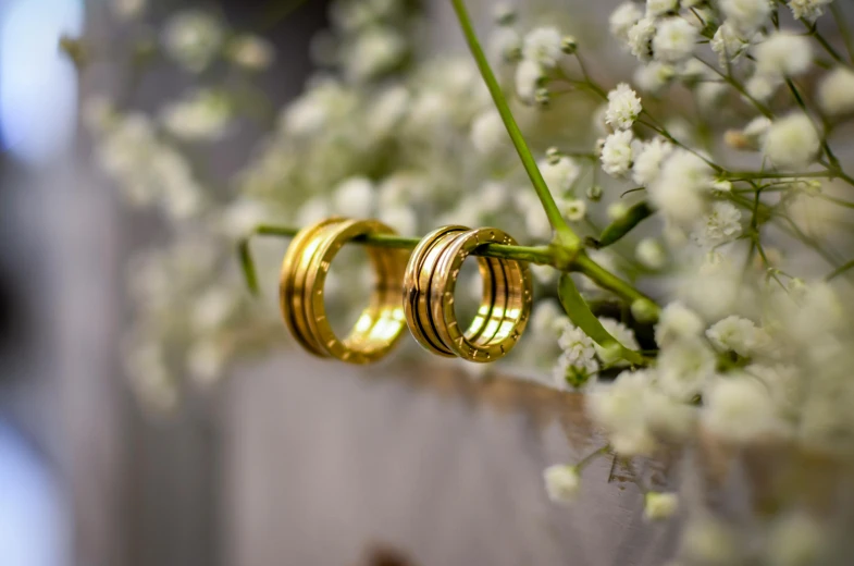 a couple of wedding rings sitting on top of a table, bulgari style, midsummer, gold earring, medium close shot