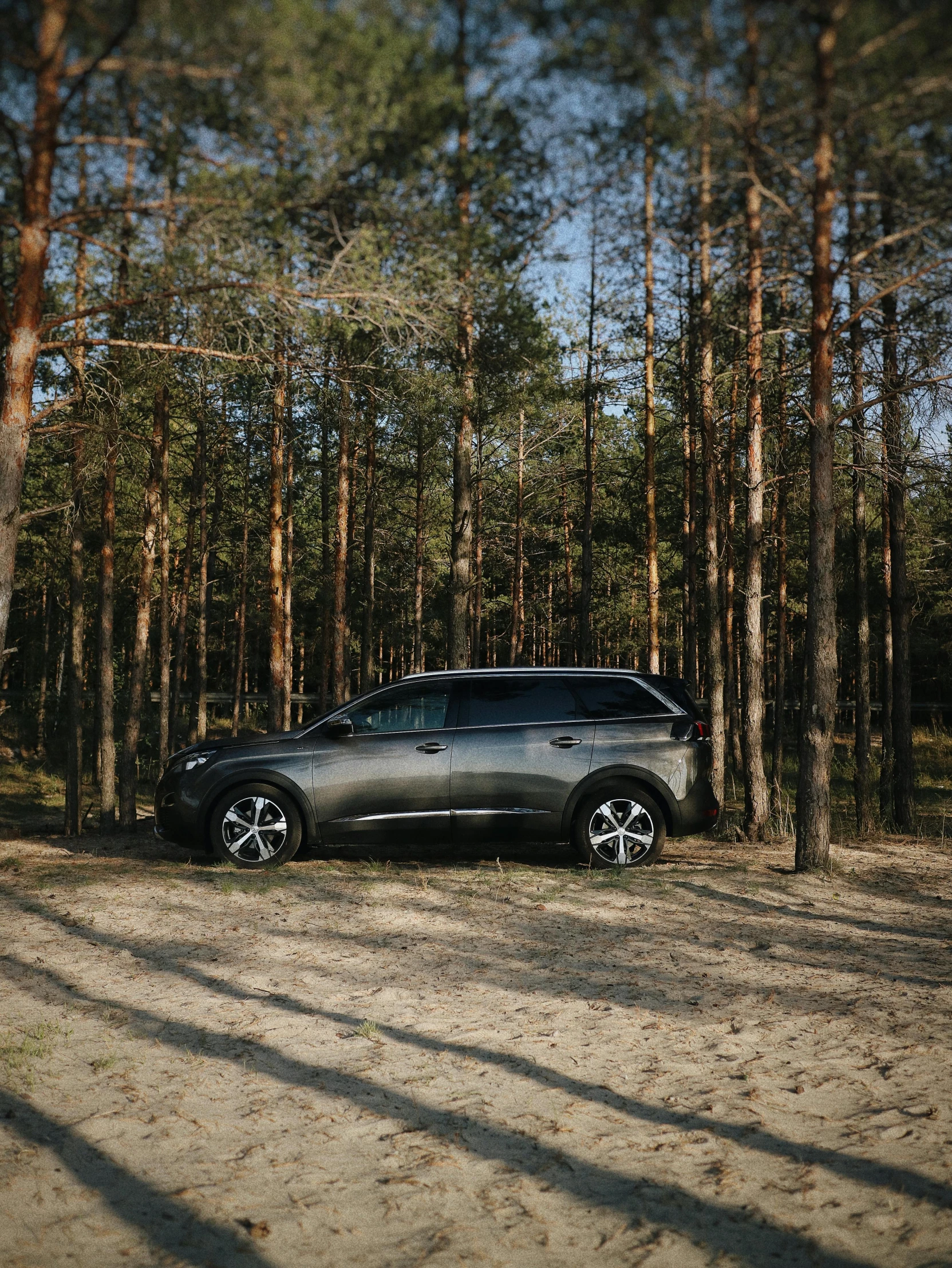 a car parked in the middle of a forest, profile image