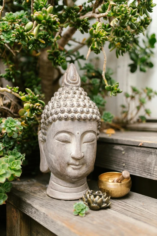 a buddha statue sitting on top of a wooden bench, lush plants and lanterns, close up head shot, jen yoon, dwell