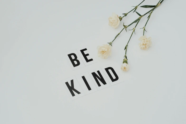 a piece of paper with the words be kind written on it, trending on pexels, minimalism, white flowers on the floor, background image, avatar image, black and white polaroid