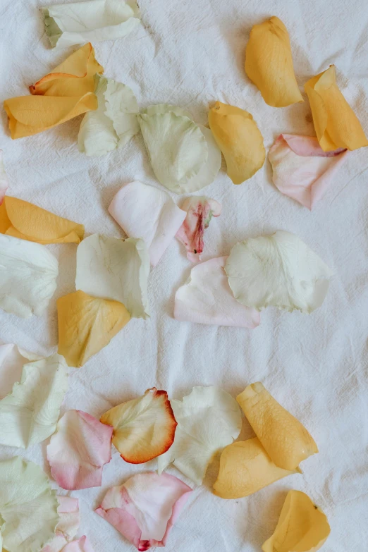 a close up of petals on a bed, by Jessie Algie, trending on unsplash, process art, eating rotting fruit, handcrafted paper background, chiffon, promo image