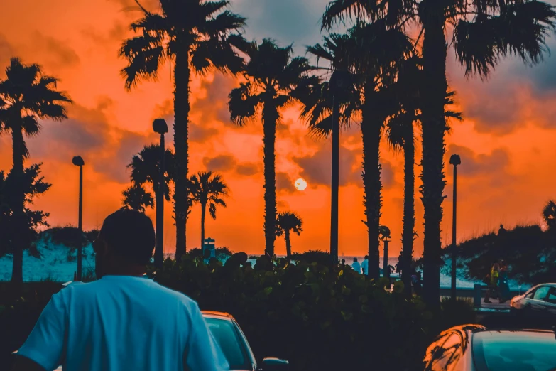 a man riding a motorcycle down a street next to palm trees, pexels contest winner, sunset red and orange, south beach colors, a person standing in front of a, exotic trees