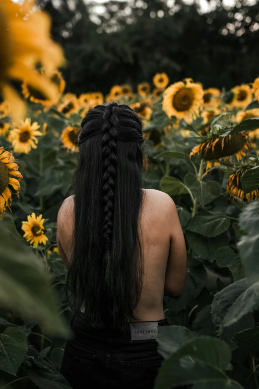 a woman standing in a field of sunflowers, inspired by Elsa Bleda, unsplash contest winner, renaissance, long braided black hair, bare back, dark hues, with his long black hair