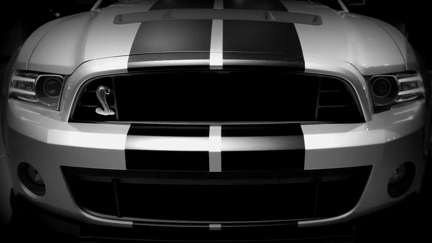 a black and white photo of a sports car, unsplash, photorealism, hazard stripes, mustang, samurai vinyl wrap, realistic shaded lighting poster