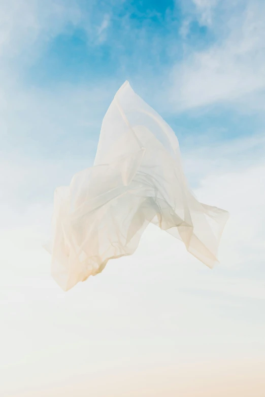 a woman standing on top of a beach next to the ocean, an album cover, by Rebecca Horn, unsplash, conceptual art, porcelain organic tissue, translucent wings, ryan mcginley, fluid bag