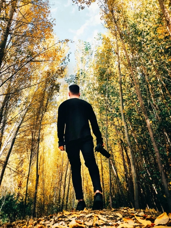 a man standing in the middle of a forest, unsplash, happening, stepping on the city, eucalyptus trees, golden colors, 15081959 21121991 01012000 4k