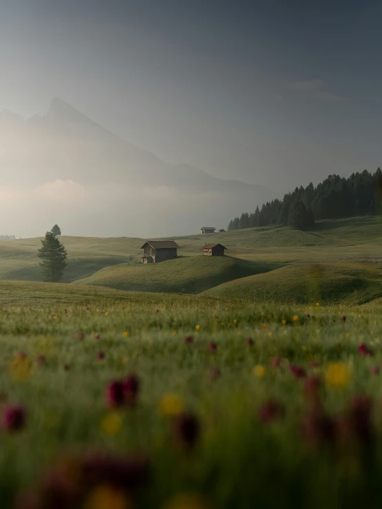 a couple of cows standing on top of a lush green field, a matte painting, by Johannes Voss, pexels contest winner, alpine landscape with a cottage, during dawn, with flower fields as foreground, gray