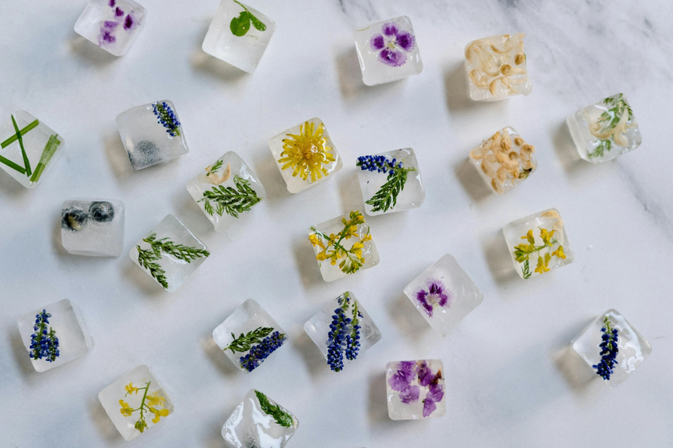 a table topped with lots of ice cubes covered in flowers, trending on pexels, botanical herbarium paper, squares, 6 pack, aspic