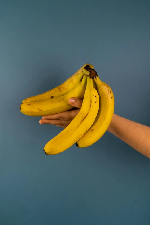 a person holding a bunch of bananas in their hand, an album cover, pexels, blue, four hands, thumbnail, 8l