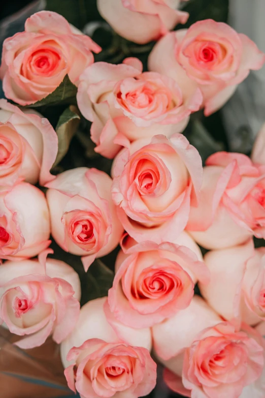 a bouquet of pink roses sitting on top of a table, zoomed in, boston