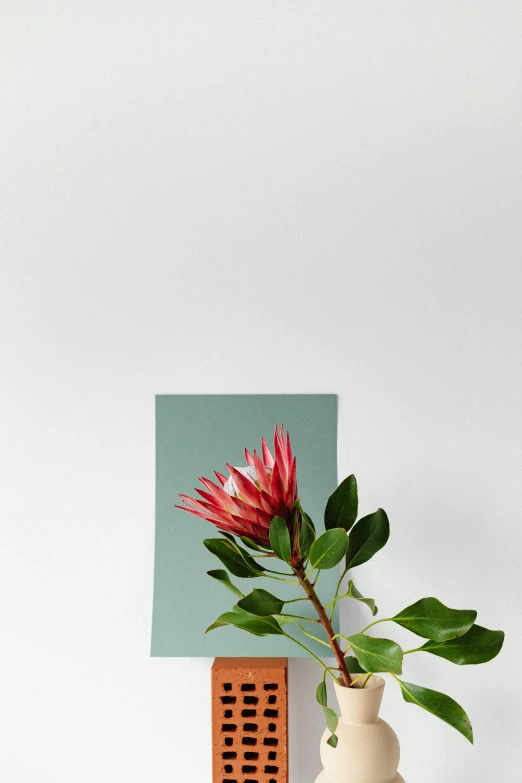 a vase with a flower in it sitting on a table, a picture, by Rebecca Horn, postminimalism, greeting card, artichoke, profile posing, product introduction photo