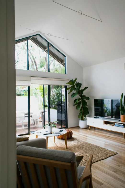 a living room filled with furniture and a flat screen tv, by Liza Donnelly, unsplash contest winner, light and space, nesting glass doors, manly design, vaulted ceiling, monstera deliciosa