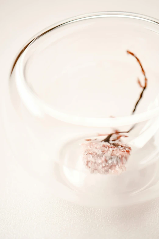 a glass filled with water sitting on top of a table, a macro photograph, inspired by Cornelia Parker, twisted withering vines, detailed product image, detail shot, rose thorn crown