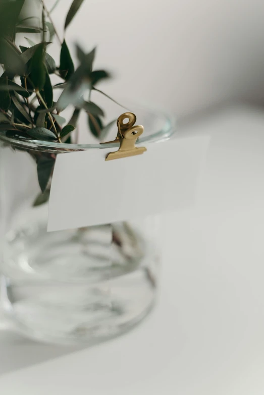 a close up of a vase with a plant in it, by Andries Stock, trending on unsplash, pair of keycards on table, white with gold accents, glass jar, extended clip