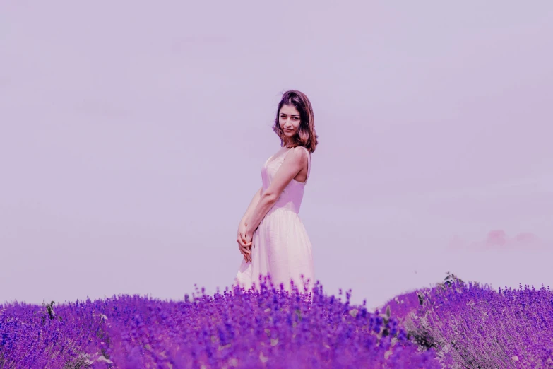 a woman standing in a field of purple flowers, a colorized photo, pexels contest winner, color field, background image, lavender blush, avatar image, plain background