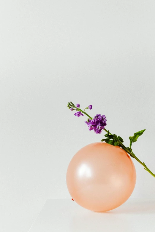 a balloon with a flower sticking out of it, lavender blush, dramatic product shot, multiple stories, ikebana