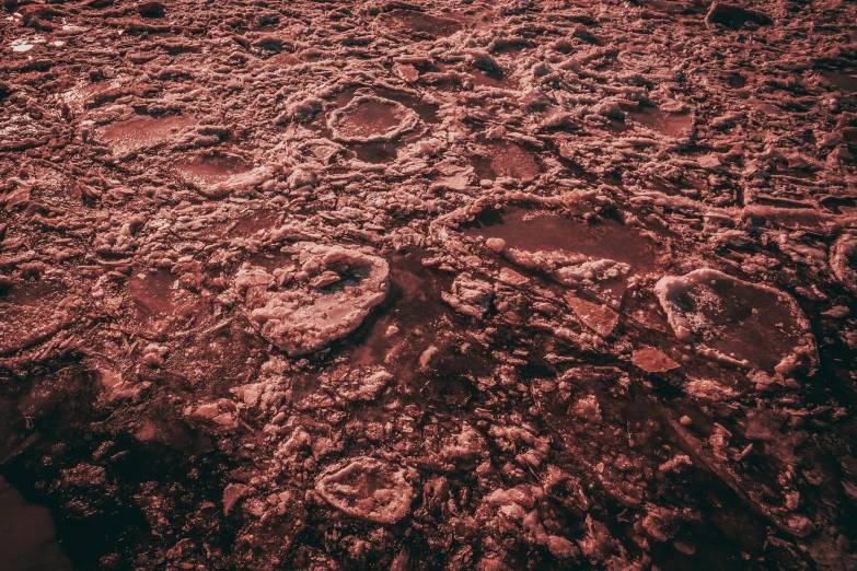 an aerial view of the surface of the moon, by Elsa Bleda, unsplash, land art, redscale photography, pink slime everywhere, covered in mud, low angle photo