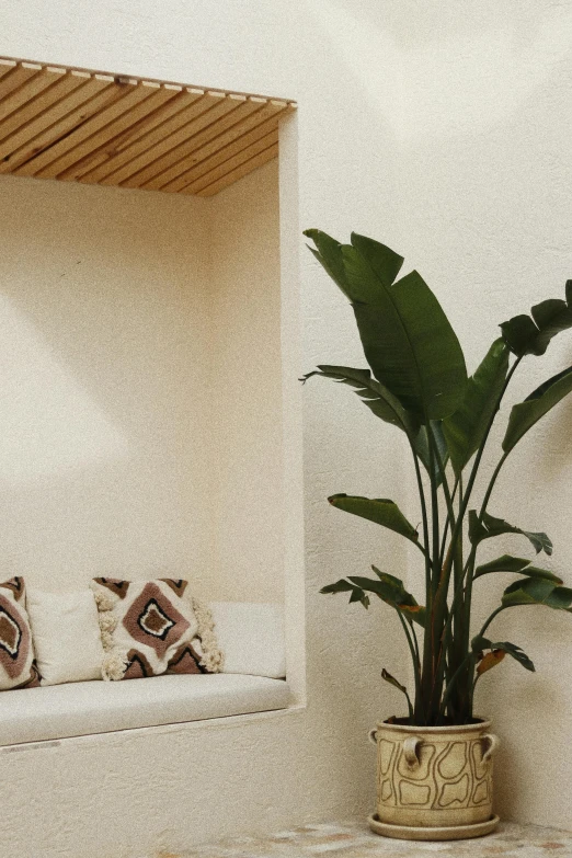 a living room with a couch and a potted plant, inspired by Riad Beyrouti, unsplash, minimalism, recessed, helio oiticica, spa, brown