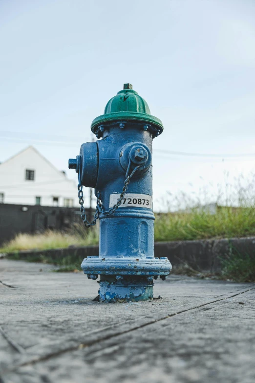 a blue and green fire hydrant on a sidewalk, inspired by Elsa Bleda, unsplash, vintage photo, hyperdetailed photo, water fountain, instagram post