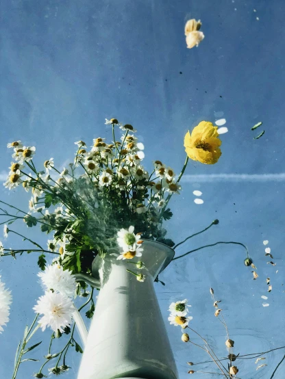 a vase that has some flowers in it, unsplash, aestheticism, summer sky, white and yellow scheme, light scatter, low quality photo