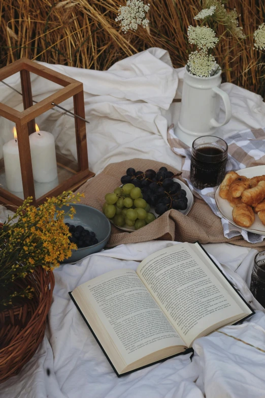 a table that has a bunch of food on it, romanticism, an open book, grapes, having a picnic, low-light