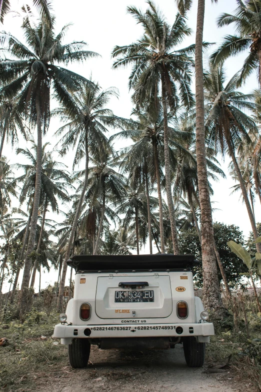 a white jeep driving down a dirt road next to palm trees, inspired by Erik Pevernagie, unsplash, sumatraism, kombi, sitting in a tree, coconuts, soft top roof raised