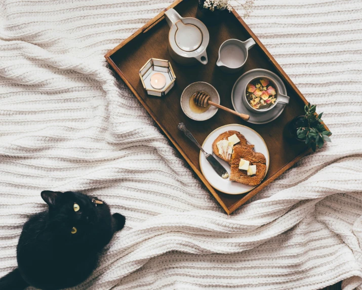 a black cat sitting on top of a bed next to a tray of food, by Julia Pishtar, trending on unsplash, tea party, toast, couple on bed, promo image