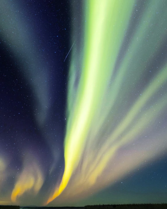 the aurora lights in the sky above a body of water, by Terese Nielsen, pexels contest winner, hurufiyya, curved lines, an extreme closeup shot, grey, antennae