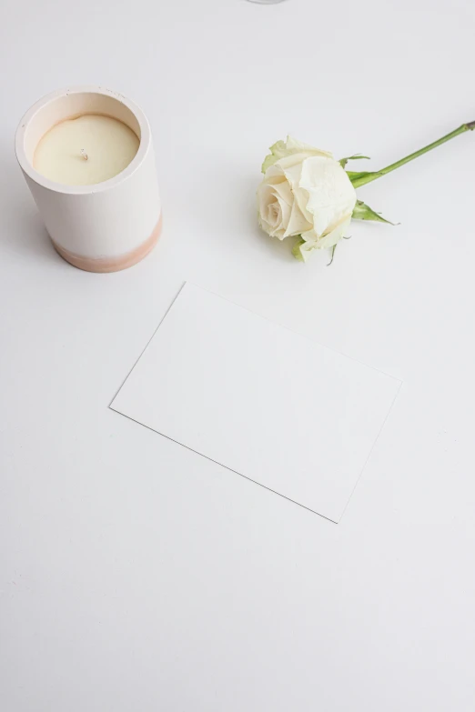 a white rose sitting on top of a table next to a cup of coffee, inspired by Agnes Martin, postminimalism, cardstock, overview, candle, light grey