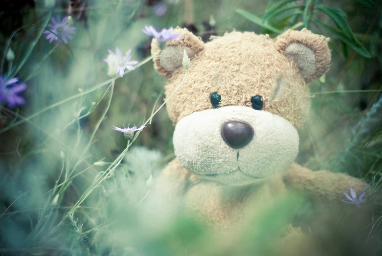 a brown teddy bear sitting in a field of purple flowers, unsplash, grainy filter, toys, giant eyes in the grass, hugging