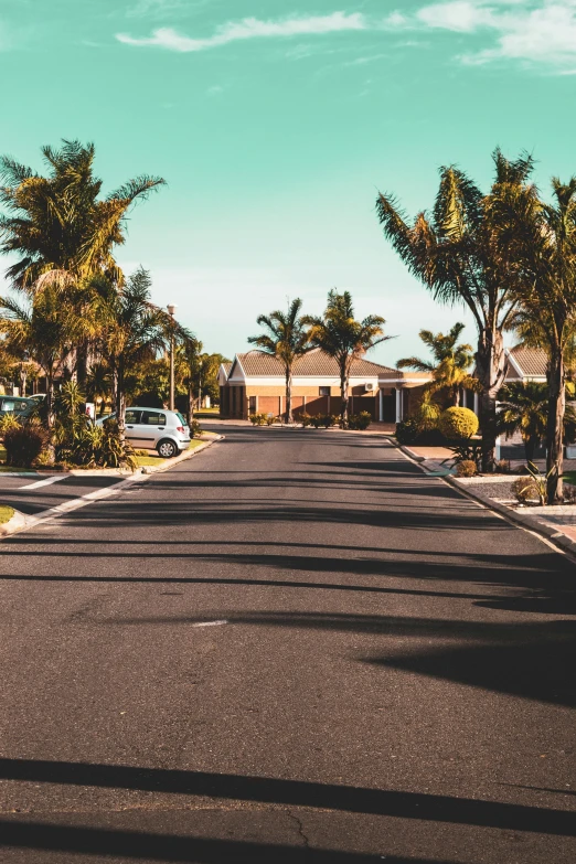 a street lined with palm trees and parked cars, by Lee Loughridge, pexels contest winner, walking through a suburb, new zeeland, french village exterior, clean 4 k